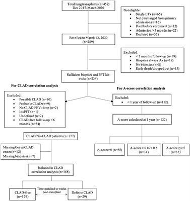 Intra-subject variability in oscillometry correlates with acute rejection and CLAD post-lung transplant